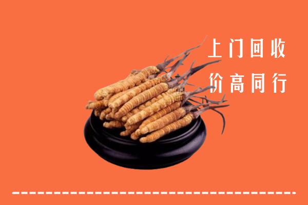高价求购：鄂尔多斯乌审回收散虫草
