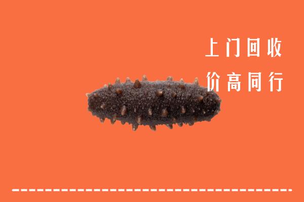 鄂尔多斯乌审回收海参