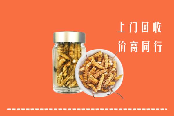 鄂尔多斯乌审回收冬虫夏草