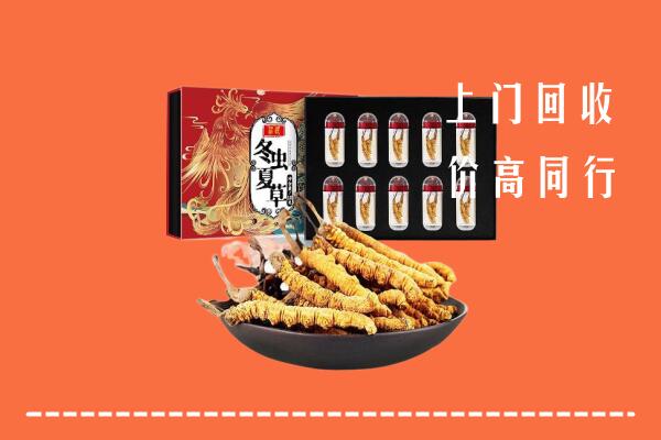 鄂尔多斯乌审回收虫草